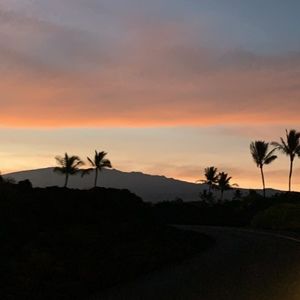 Meet your Posher, Posh